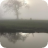 fog at hack green