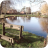 Hankelow Pond