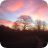 redsky