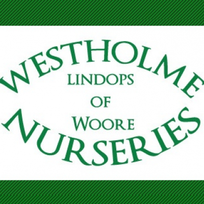 westholme